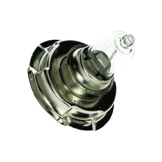 lamp 12V halogeen 20W kraag p26s bosma