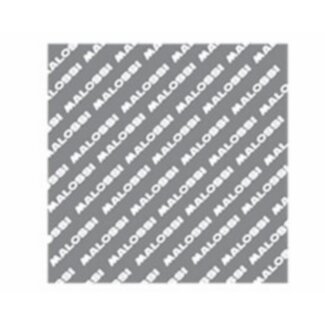membraanplaat 100x100x0.4mm karbonit malossi 277366.m0