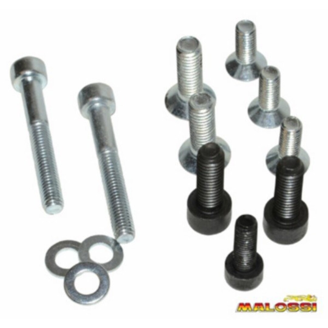 Malossi boutset binnenrotor ontsteking malossi 1911555b