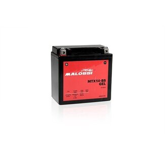 Malossi accu MTX14-BS gel malossi 4418923