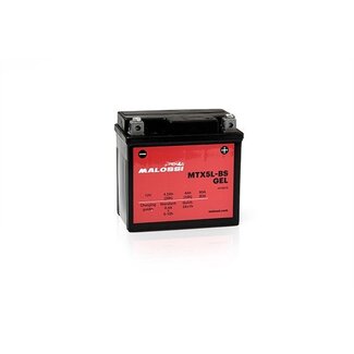 accu MTX5L-BS gel malossi 4418918