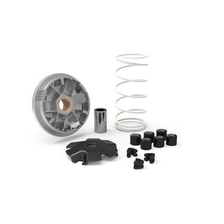 variokit bye bike malossi 5118040