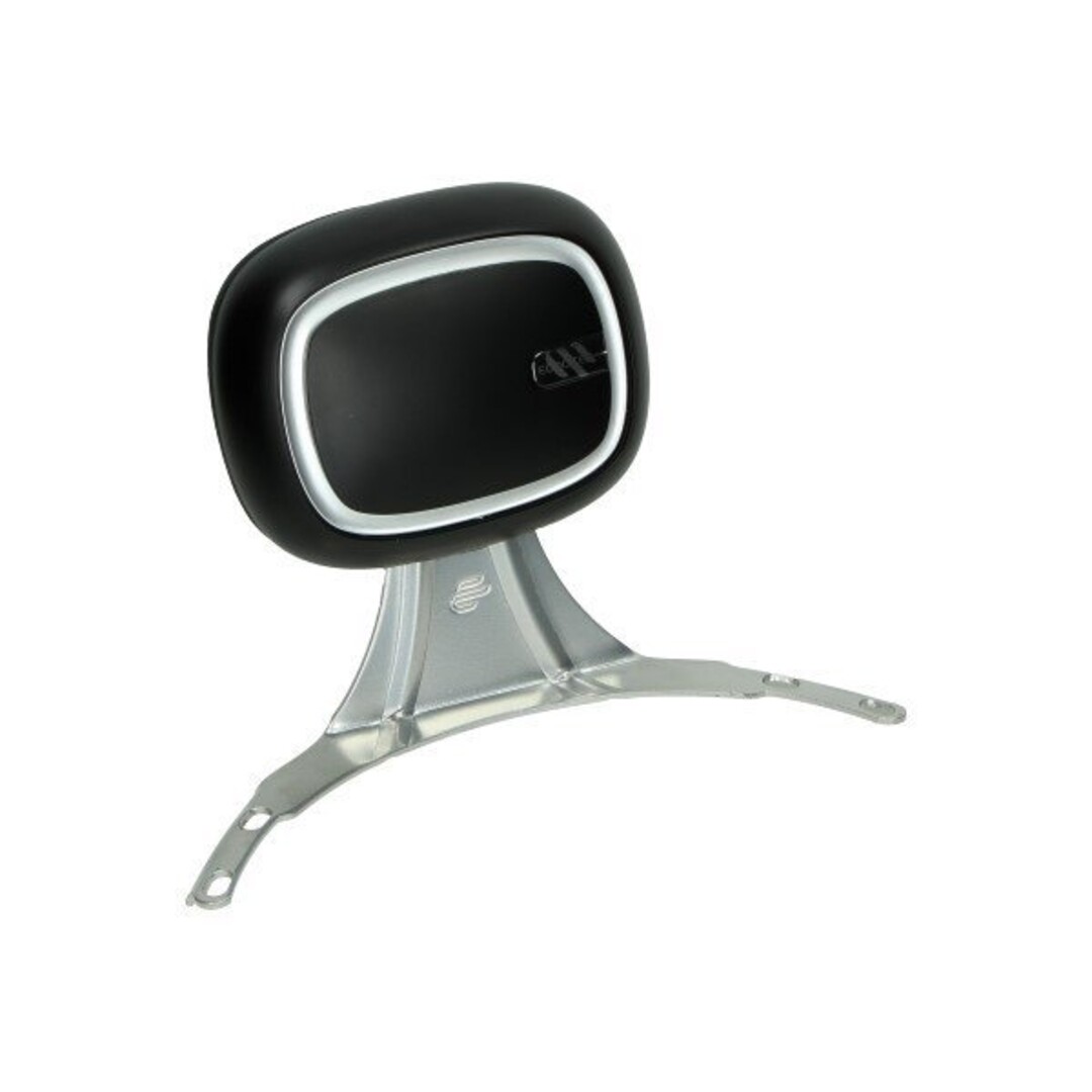 rugsteun Ecooter E2 orig 06049860000