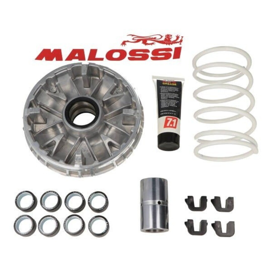 Malossi variokit euro-3 metrop/sat400 malossi 5116679