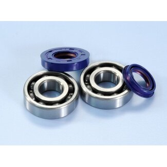 lager+keerringset minarelli hor polini 282.0002