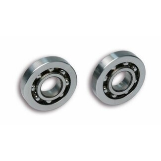 lagerset 6304 smal 20x52x10.8 malossi mhr 6614105ea 2pcs