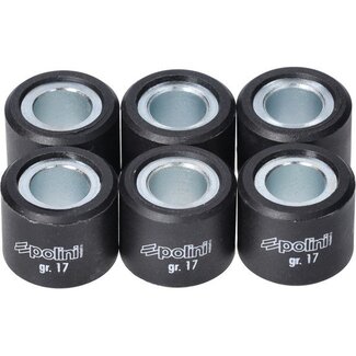 Polini variorolset 17.0gr gts300cc/mp3-300/run180/run200 20x17mm polini 242.356