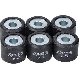 Polini variorolset 22.0gr gts300cc/mp3-300/run180/run200 20x17mm polini 242.358