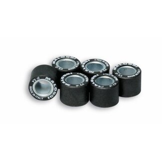 Malossi variorolset 4.8gr minarelli 15x12mm malossi 669417.e0
