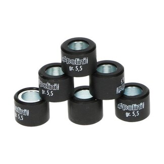 Polini variorolset 5.5gr minarelli 15x12mm polini 242.122