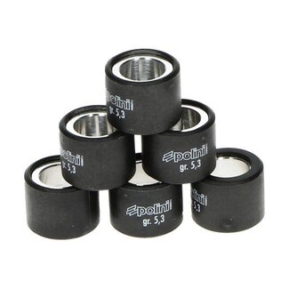 Polini variorolset 3.4gr sco piaggio nt 19x15.5mm polini 242.331