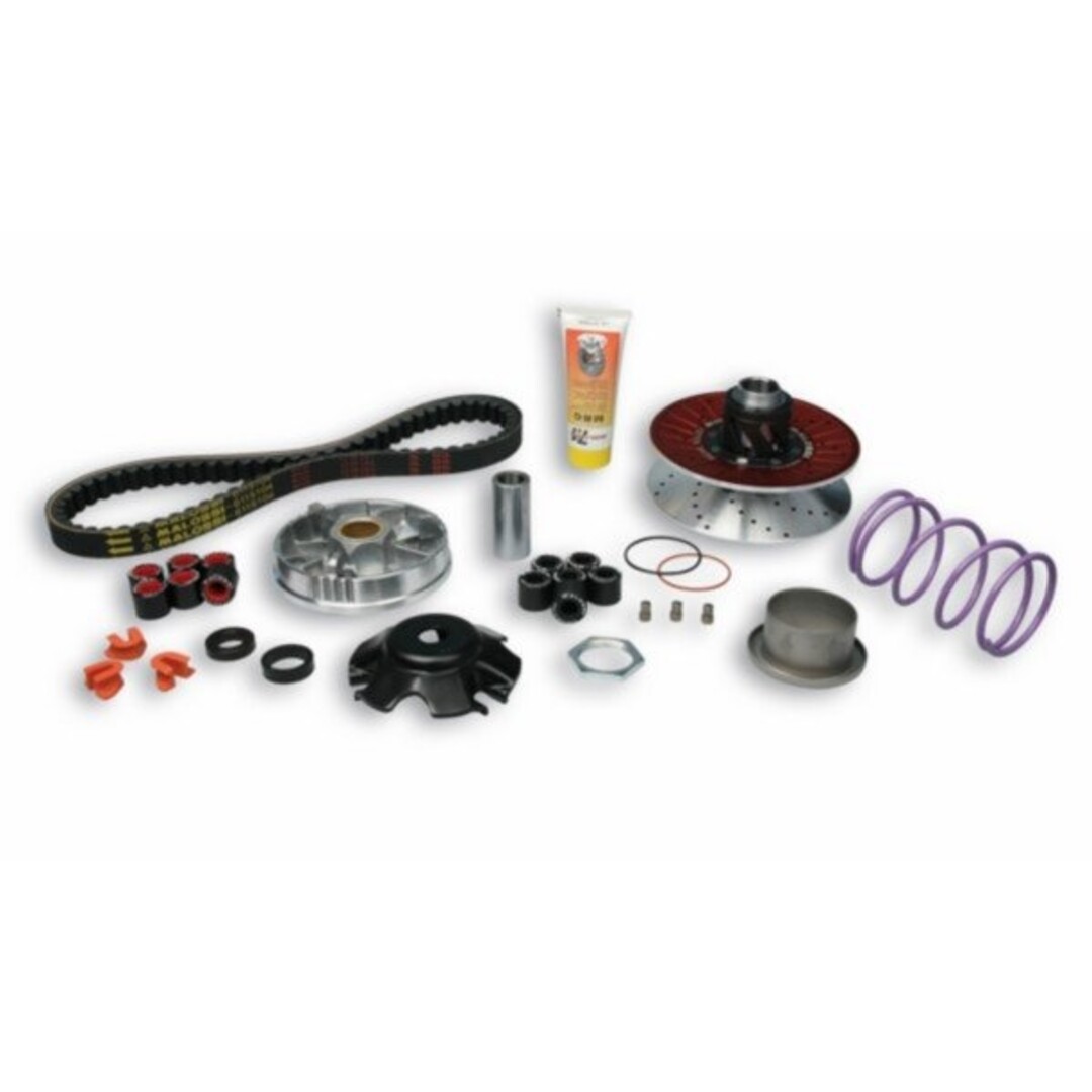 Malossi overrange systeem aluminium minarelli hor malossi 6118884