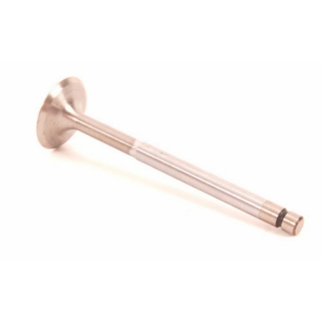 inlaatklep (2-kleps model) cen/scopia4t2v/zip4t piag orig 969238