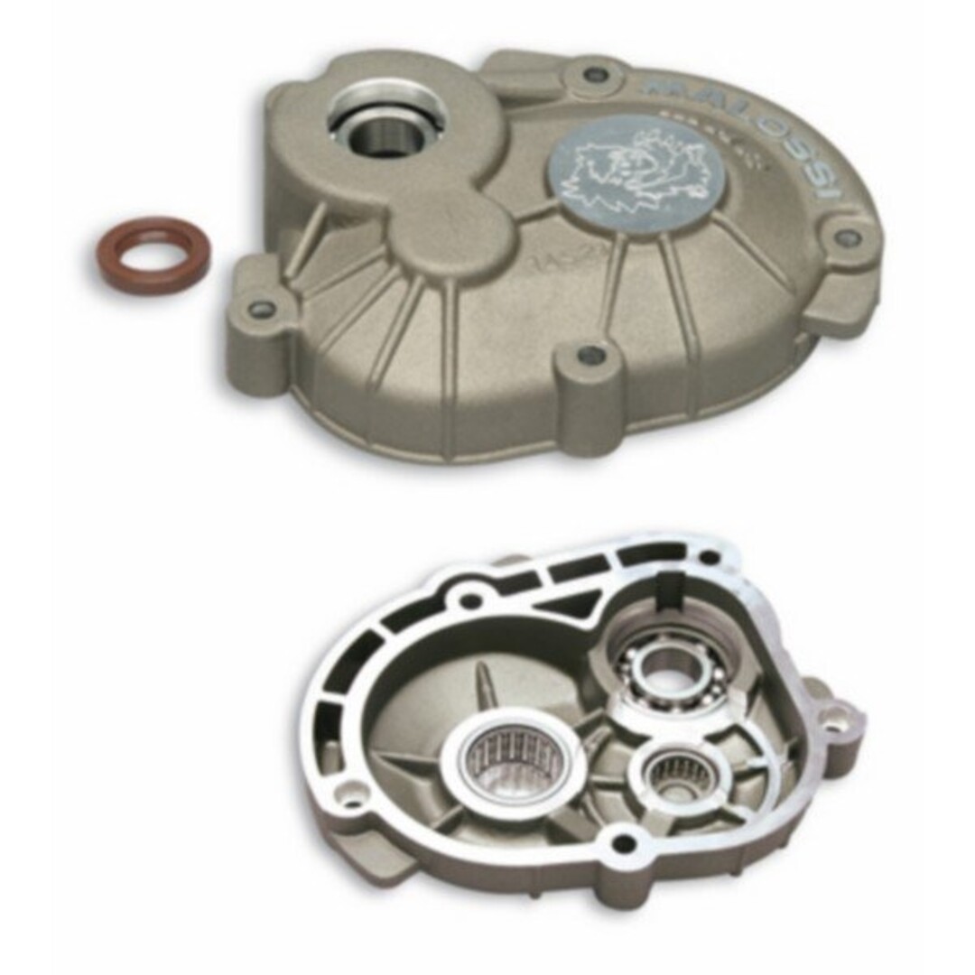 Malossi transmissiedeksel 16mm sco piaggio 2t malossi mhr 2514521