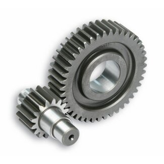 Malossi secundaire as prim125/prim150/run180-4t/run200/sprint125/sprint150 16/42t malossi 6711860