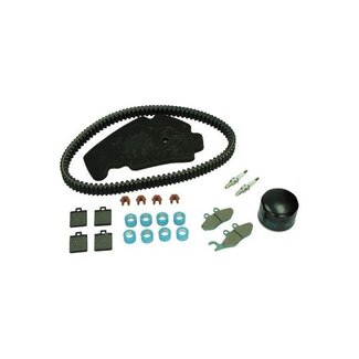 onderhoudskit euro-3 2007-2013 mp3 500cc piag orig 1r000376