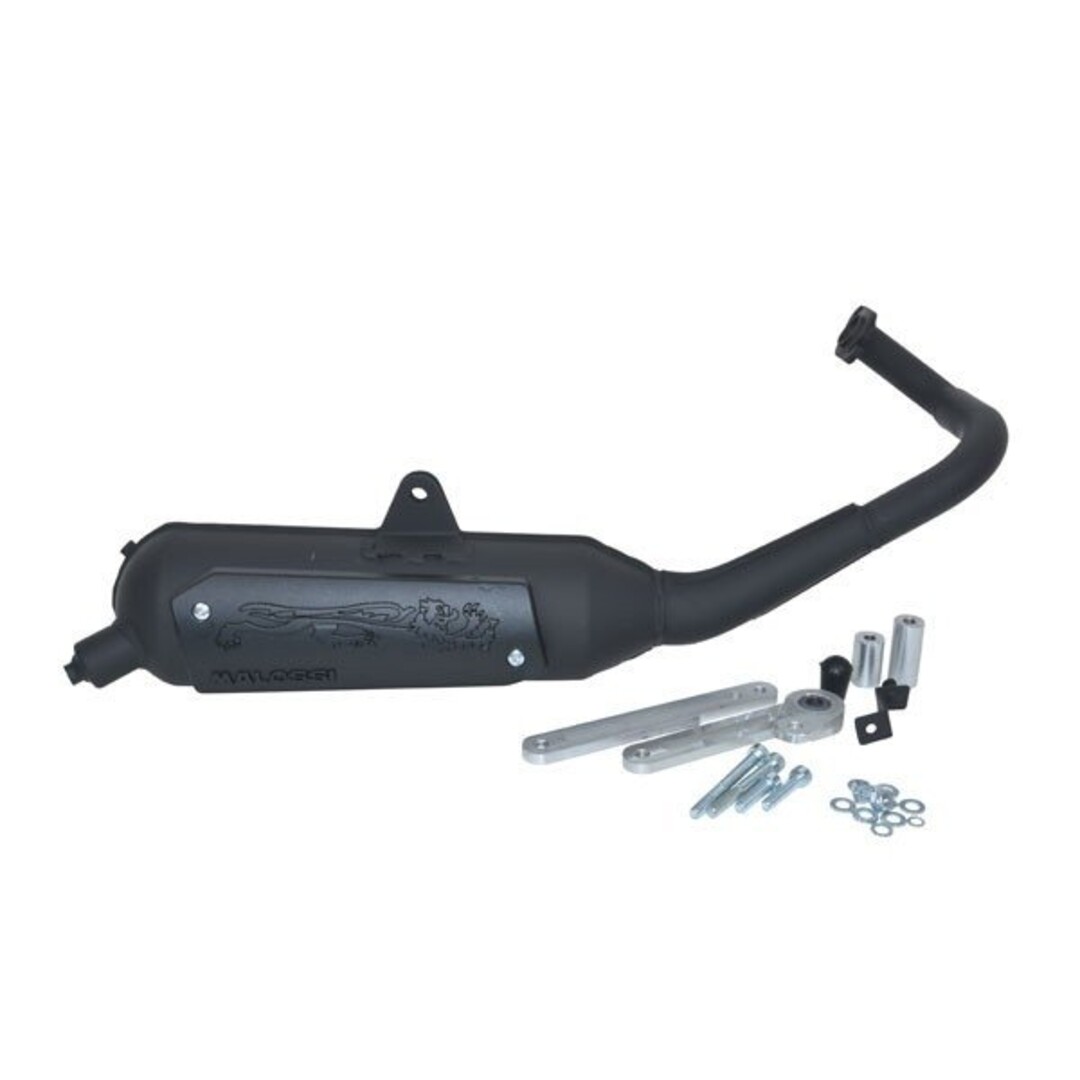 Malossi uitlaat cpl malossi mod. std 2t wild lion past op people-s, top boy, grand dink, super-9 3216593