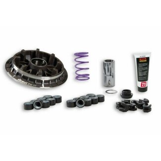 Kymco variokit malossi multivar kymco past op ak550i 5118058