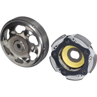 Malossi kopp.segment + huis forza 350 honda malossi 5219253