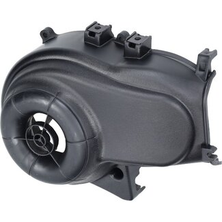 uitlaat DDL highend race 70cc past op puch maxi