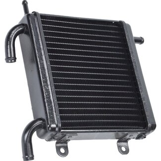 Yamaha radiateur DMP zwart past op aerox