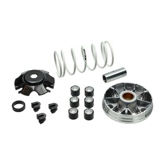 Piaggio Malossi Multivar 2000 Variokit 5111597 – Geschikt voor Piaggio en Vespa 50cc 4T