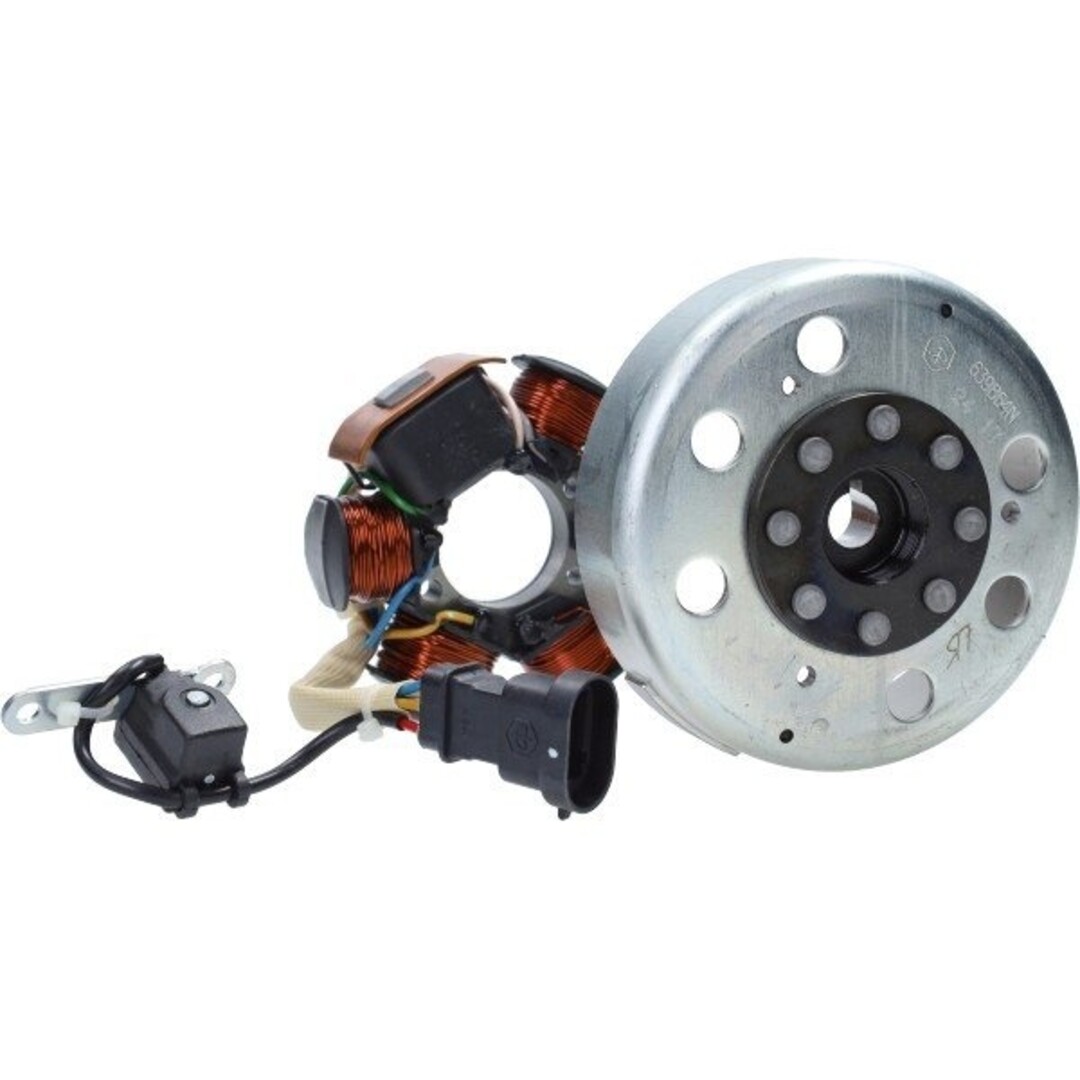 Piaggio Originele Piaggio ontsteking + vliegwiel 58136R voor 2-takt scooters – Fly, Zip, NRG, LX, Liberty, Runner, Primavera, Sprint e.a.