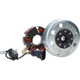 Piaggio ontsteking+vliegwiel Piaggio origineel past op fly, liberty, lx, nrg power dd lc, primavera, runner, sco piaggio 2t, sprint, zip, zip sp 58136r