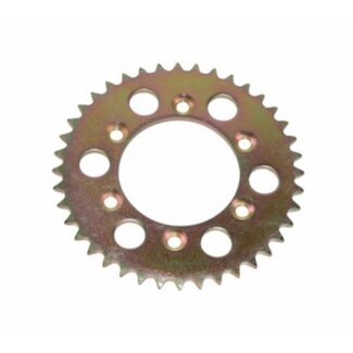 achterkettingwiel rr2000/spike 40t