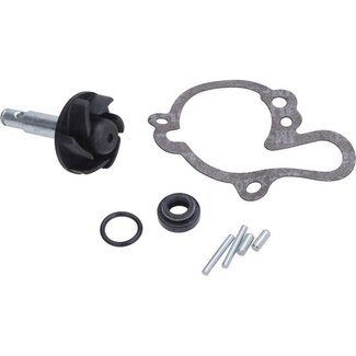 revisieset waterpomp past op minarelli am6