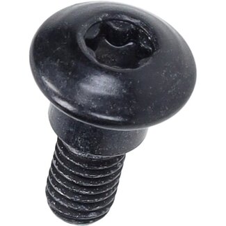 Piaggio bout Piaggio origineel torx + borst m6x10mm past op beverly, elettrica, gts, lx, mp3, sprint, primavera cm179202