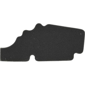 Piaggio luchtfilterelement Piaggio origineel euro-5 past op primavera, sprint 1a019730