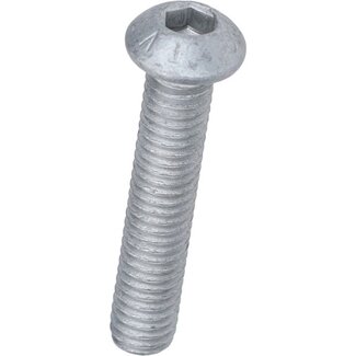 Piaggio bout Piaggio origineel remschijf achter inbus m6x30mm past op beverly, gts, mp3, runner 597564