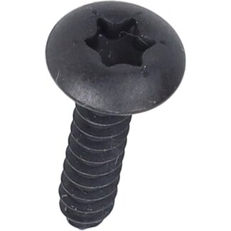 Piaggio bout Piaggio origineel torx 4.2x29mm past op beverly, fly, gts, liberty, mp3 cm178604