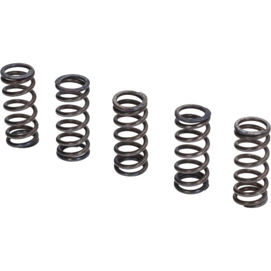 koppelingveerset Italkit 5 delig past op derbi, senda, gpr vm.12.4