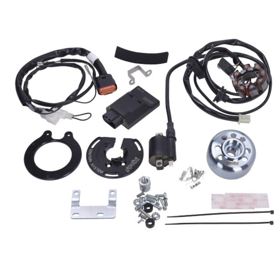 Piaggio ontsteking+vliegwiel polini h2o race past op derbi, nrg, runner, sr50 2t, zip 2t 171.0570