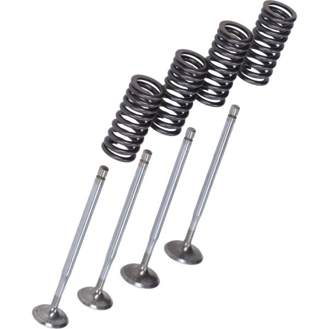 Piaggio kleppenset malossi + veren past op beverly, gts, gtv, mp3, runner 2714047