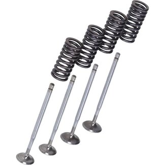 kleppenset malossi + veren past op beverly, gts, gtv, mp3, runner 2714047