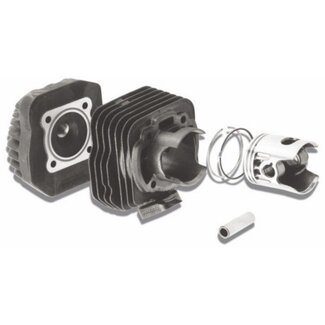 cil+kop bali/sfx 47mm malossi 318734