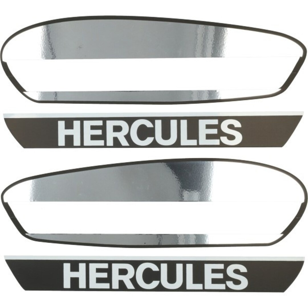 tapeind malossi cilinder FL100cc 4pcs 1919459