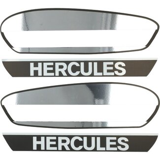 tapeind malossi cilinder FL100cc 4pcs 1919459