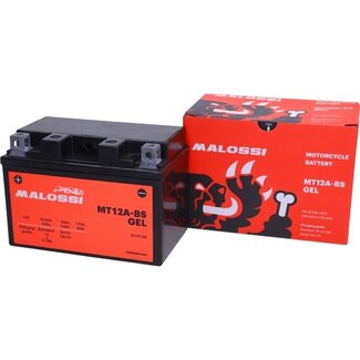 accu malossi MT12A-BS Gel past op burgman 400cc, downtown 300, people s 300, x-town 4419166