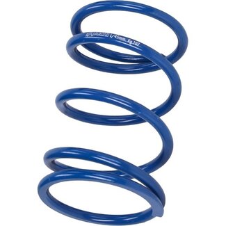 koppelingdrukveer polini euro-5 past op adv350, sh350 243.111