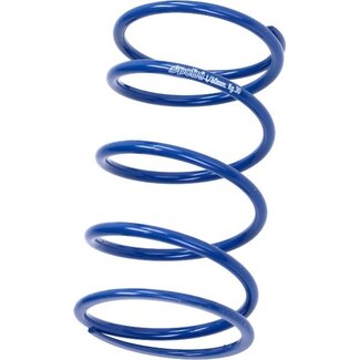 koppelingdrukveer polini past op piaggio 125-300, runner 243.077