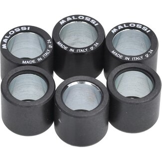 variorolset malossi 24.0gr 25x22.2 past op beverly 500cc 6613968.b0