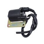 Bobine Piaggio 2t 125/150, runner 180cc