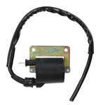 Bobine Piaggio 2t 125/150, runner 180cc