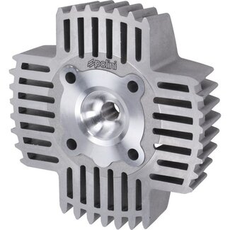 cilinderkop polini race 43.5mm past op maxi 211.0608