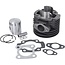 Puch Cilinder DMP 65cc model Puch MV50 / MS50 (41mm)