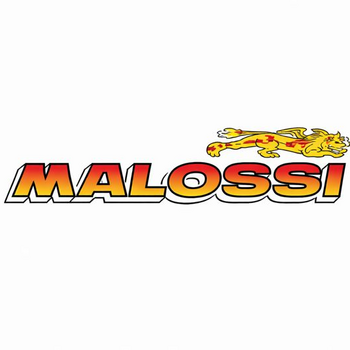 Malossi